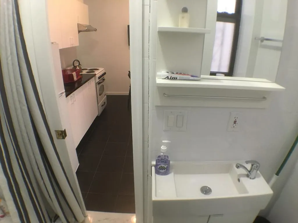 Two Bedroom Apartment Henry Street #42 Nowy Jork Stany Zjednoczone Ameryki